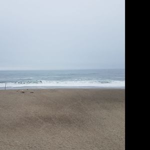 Meet your Posher, Jessie